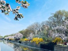 -元大都城垣遗址公园