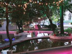 -枫花园汽车电影院(朝阳公园店)