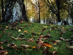 -重庆中央公园(渝北区)