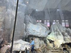 -帝企鹅自助餐厅•儿童岛•真企鹅(长隆企鹅酒店)