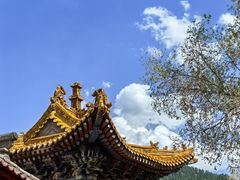 -五台山风景区