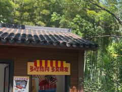 -东明山森林公园