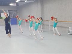 -舞蕾舞蹈(特长生校区)