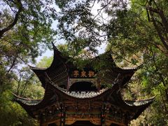 -蝴蝶泉公园