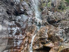-天门沟九州驿站树上汤泉