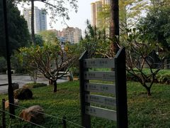 -晓港公园