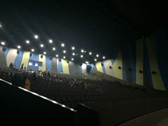 -天幕新彩云国际影城(激光巨幕店)