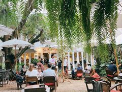 -Fern Forest Cafe