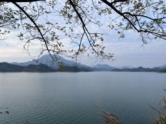-杭州千岛湖滨江希尔顿度假酒店