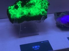 -湖南省地质博物馆