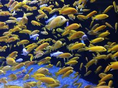 -成都浩海立方海洋公园