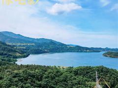 -酒仙湖景区