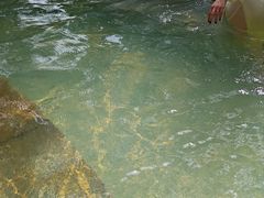 -三江森林温泉度假区