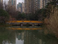 -青枫公园