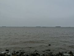 -上海滨江森林公园·停车场