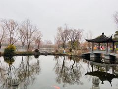 -武汉园博园(武汉自然博物馆)