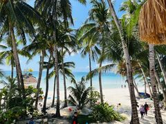 -Jonah's Fruit Shake & Snack Bar