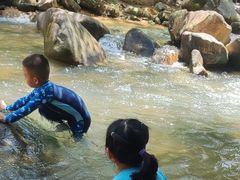 -广州白江湖森林公园