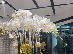 -富淳饭店(陆家嘴保利广场店)