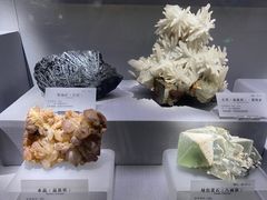 -湖南省地质博物馆