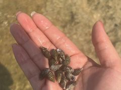 -三亚西岛海洋文化旅游区