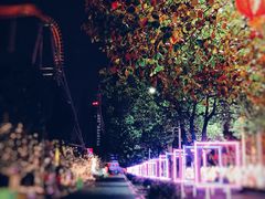 -锦江乐园舞狸花花游园会(夜场专享)