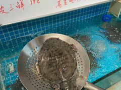 -元银甲·湖北地标美食(汉阳店)