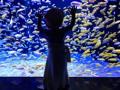 -成都浩海立方海洋公园