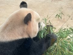 -杭州动物园