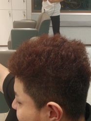 -龙蝉瑜伽