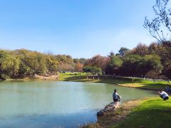 -金陵矩阵(聚宝山公园店)