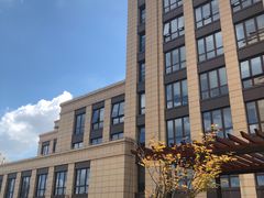 -上药医疗供应链管理（上海）有限公司