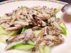 -新光酒家·河豚·海鲜·蟹料理(浦东店)