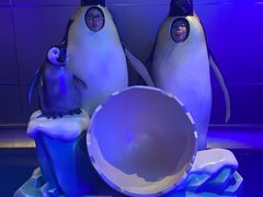 -上海海昌海洋公园