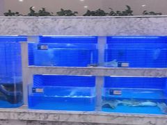 -香山湖渔家大院