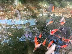 -聚缘堂·海鲜私房菜(松岭路店)