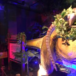 -恐龙探索乐园(磁器口店)