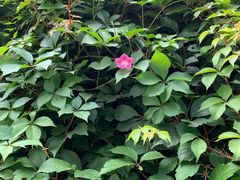 -邵汇大虾(吉林大路店)