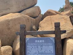 -那琴半岛地质海洋公园