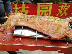 荔枝园特色烤全羊-荔枝园美食山庄(贞山风景区店)