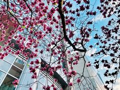 -上海来福士广场