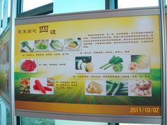 北京观光南瓜园&nbsp;(56)-观光南瓜园