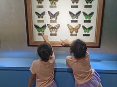 -上海昆虫博物馆