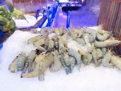 -九月海·海鲜自助(世纪东方店)