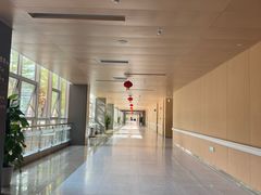 -佛山市妇幼保健院(新城院区)