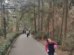 -冶父山国家森林公园