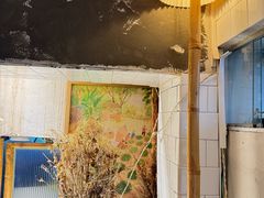 -野草莓自由市场