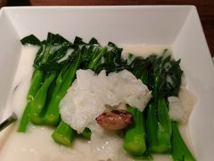 鱼肚浓汤浸菜心-陶陶居·雅园(凯华国际店)