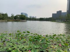-西海子公园