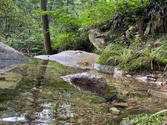 -素山寺森林公园